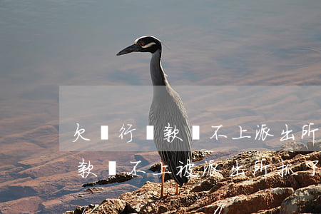 欠銀行貸款還不上派出所會介入嗎-銀行貸款還不上被派出所抓了
