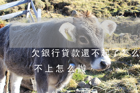 欠銀行貸款還不起了怎么辦（欠下銀行貸款還不上怎么辦）