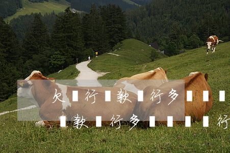 欠銀行貸款銀行多長時間進行起訴-欠銀行貸款銀行多長時間進行起訴呢