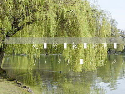 欠銀行貸款,銀行有權(quán)利凍結(jié)個(gè)人資產(chǎn)嗎-欠銀行貸款,銀行有權(quán)利凍結(jié)個(gè)人資產(chǎn)嗎
