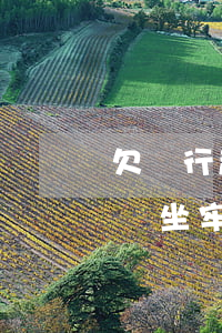 欠銀行超過5萬會坐牢嗎-欠銀行超過5萬會坐牢嗎