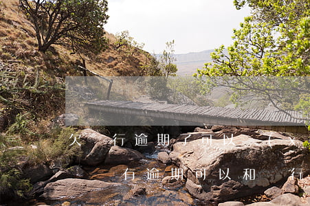 欠銀行逾期了可以協(xié)商分期還款嗎(沒有逾期可以和銀行協(xié)商分期還款嗎)