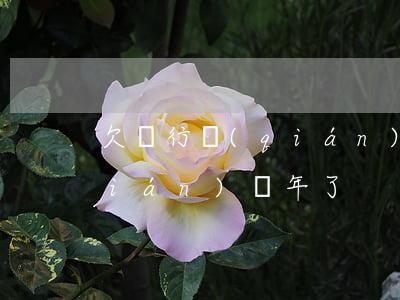 欠銀行錢(qián)五六年(欠銀行錢(qián)幾年了)