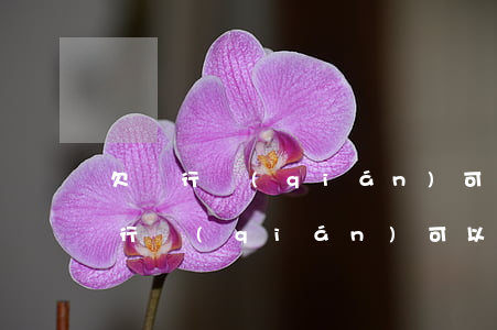 欠銀行錢(qián)可不可以做法人（欠銀行錢(qián)可以做法人嗎）