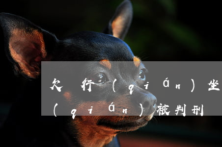 欠銀行錢(qián)坐牢的案例(欠銀行錢(qián)被判刑)