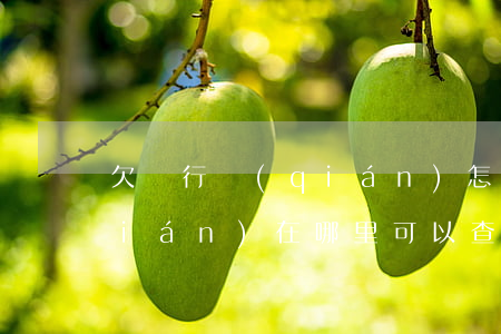 欠銀行錢(qián)怎么查 欠銀行錢(qián)在哪里可以查