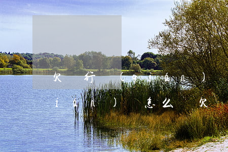 欠銀行錢(qián)沒(méi)錢(qián)還怎么辦(欠銀行的錢(qián)不還,銀行會(huì)怎么處理)