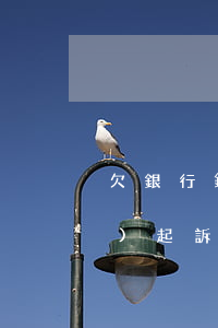 欠銀行錢(qián)逾期多久會(huì)起訴（欠銀行錢(qián)逾期被起訴怎么辦）