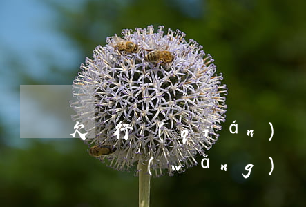 欠銀行錢(qián)還能網(wǎng)貸嗎(網(wǎng)貸欠錢(qián)銀行可以貸款嗎)