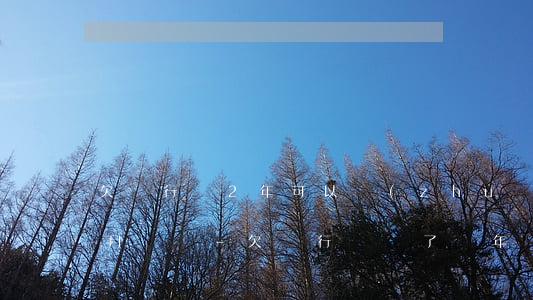 欠銀行錢2年可以轉(zhuǎn)成分期月還嗎-欠銀行錢過了兩年還會起訴嗎
