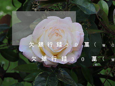 欠銀行錢30萬(wàn)還不上怎么辦-欠銀行錢30萬(wàn)還不上怎么辦呢