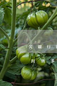 欠銀行錢4萬不還會怎么樣-欠銀行4萬要判刑多久
