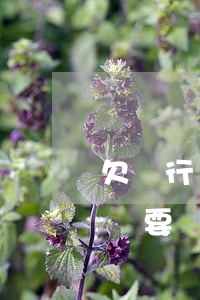 欠銀行錢不還坐牢案例(欠銀行錢不還坐牢后還要還嗎)