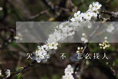 欠銀行錢不還怎么找人