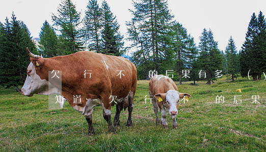欠銀行錢不還的后果有多嚴(yán)重你知道-欠銀行錢不還的后果有多嚴(yán)重你知道了嗎
