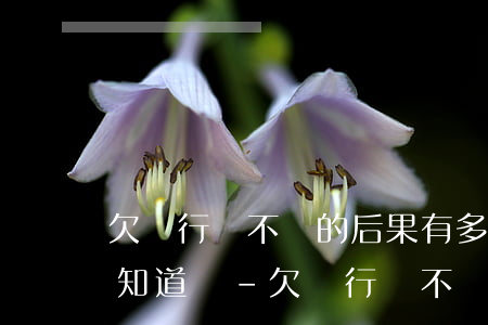 欠銀行錢不還的后果有多嚴(yán)重 你知道嗎-欠銀行錢不還的后果有多嚴(yán)重 你知道嗎?