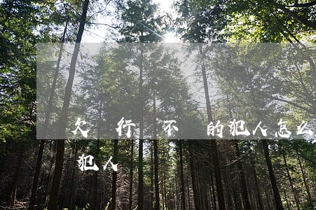 欠銀行錢不還的犯人怎么辦（欠銀行錢不還的犯人）