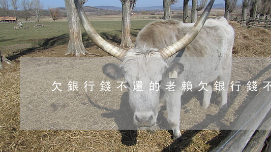 欠銀行錢不還的老賴 欠銀行錢不還的老賴