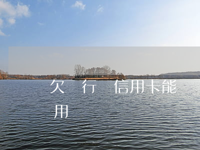 欠銀行錢信用卡能辦嗎(欠信用卡銀行卡可以用嗎)