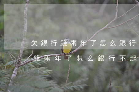 欠銀行錢兩年了怎么銀行不起訴我-欠銀行錢兩年了怎么銀行不起訴我了