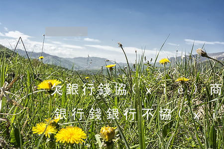 欠銀行錢協(xié)商不成怎么辦理-欠銀行錢銀行不協(xié)商怎么辦