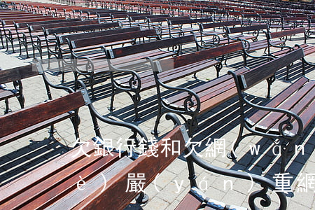 欠銀行錢和欠網(wǎng)貸錢那個(gè)嚴(yán)重(網(wǎng)貸是欠銀行的錢嗎)