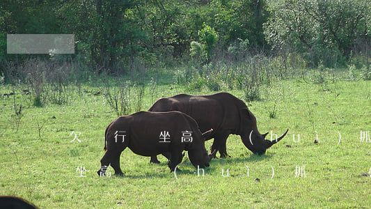 欠銀行錢坐高鐵會(huì)抓嗎 欠銀行錢坐高鐵會(huì)抓嗎現(xiàn)在