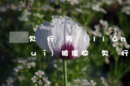 欠銀行錢失聯(lián)了幾年,還會(huì)被催收嗎?（欠銀行110萬(wàn)失蹤）