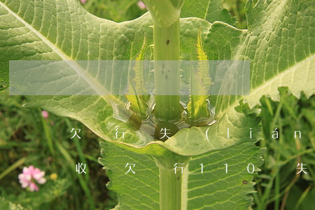 欠銀行錢失聯(lián)了幾年,還會被催收嗎?（欠銀行110萬失蹤）