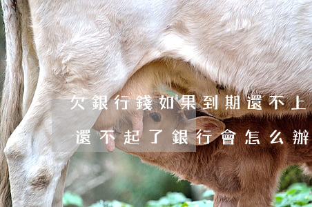 欠銀行錢如果到期還不上 怎么辦(欠了銀行錢還不起了 銀行會怎么辦)