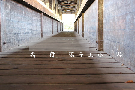 欠銀行錢孩子上小學(欠銀行錢孩子能上學嗎)
