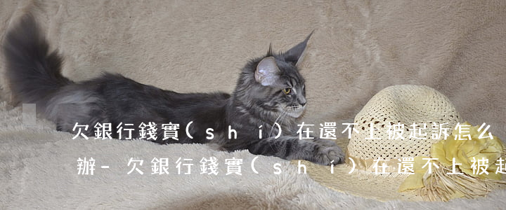 欠銀行錢實(shí)在還不上被起訴怎么辦-欠銀行錢實(shí)在還不上被起訴怎么辦呢