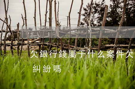 欠銀行錢屬于什么案件(欠銀行的錢屬于民事糾紛嗎)