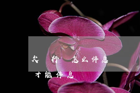 欠銀行錢怎么停息掛賬(銀行貸款還不起怎樣才能停息掛賬)