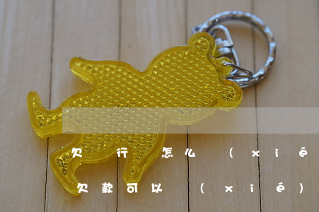 欠銀行錢怎么協(xié)商分期還款 銀行欠款可以協(xié)商分期嗎