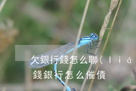 欠銀行錢怎么聯(lián)系還款(欠銀行錢銀行怎么催債)