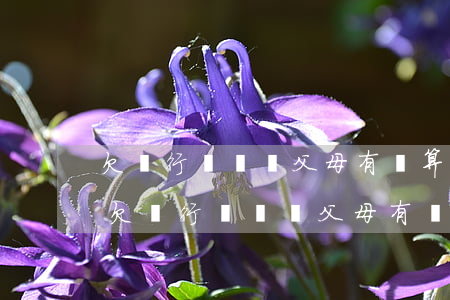 欠銀行錢敗訴父母有錢算不算有能力履行-欠銀行錢敗訴父母有錢算不算有能力履行債務