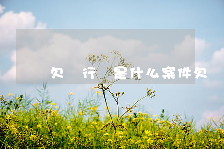 欠銀行錢是什么案件(欠銀行錢屬于什么案件)