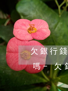 欠銀行錢會(huì)扣直系親屬卡里的錢嗎-欠銀行錢會(huì)扣直系親屬卡里的錢嗎怎么辦