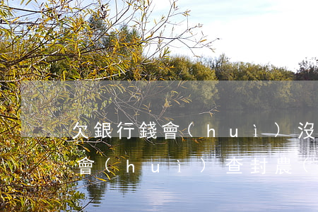 欠銀行錢會(huì)沒收土地嗎(欠銀行錢會(huì)查封農(nóng)村土地使用證房子嗎)