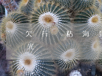 欠銀行錢會粘貼海報到村委嗎(欠銀行錢會曝光嗎)