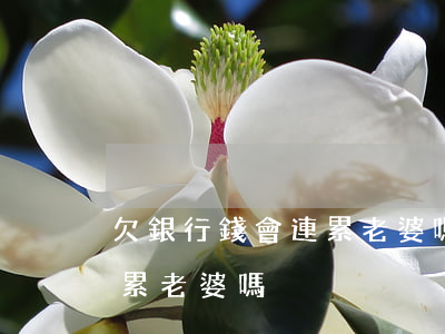 欠銀行錢會連累老婆嗎怎么辦（欠銀行錢會連累老婆嗎）