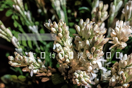 欠銀行錢會限制出國嗎