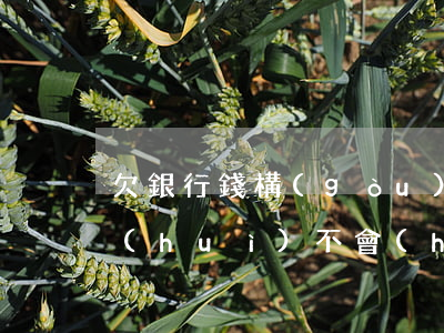 欠銀行錢構(gòu)成犯罪嗎(欠銀行錢會(huì)不會(huì)被判刑)