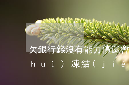 欠銀行錢沒有能力償還會(huì)不會(huì)凍結(jié)微信的錢（欠銀行錢沒有能力償還）