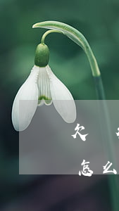欠銀行錢沒有還會怎樣(欠銀行錢實在沒錢還怎么辦)