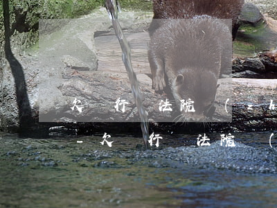 欠銀行錢法院執(zhí)行的程序是什么?-欠銀行錢法院執(zhí)行的程序是什么意思