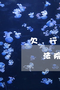 欠銀行錢法院會一直追債到家里嗎-欠銀行錢法院會一直追債到家里嗎怎么辦