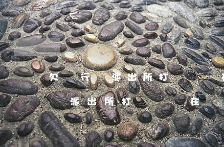 欠銀行錢派出所打電話實在還不上-欠銀行錢派出所打電話實在還不上怎么辦
