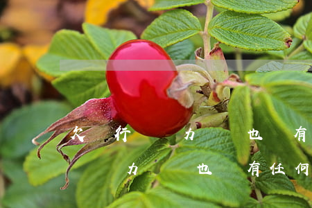 欠銀行錢無力償還也沒有任何資產-欠銀行錢無力償還也沒有任何資產怎么辦